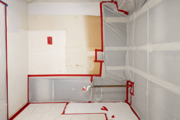 Best Mold-Related Health Consultation  in Millsboro, DE