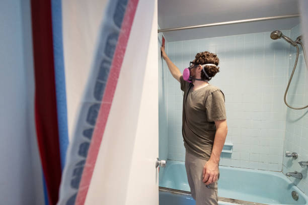 Mold Removal for HVAC Installations in Millsboro, DE