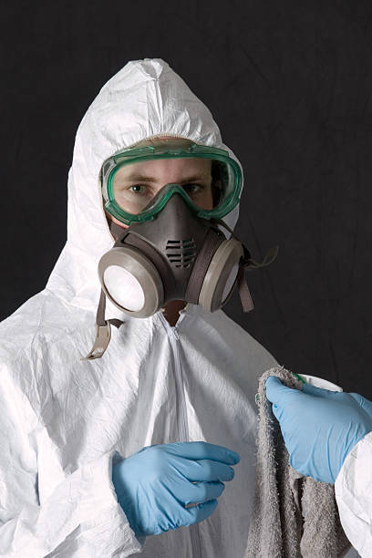Millsboro, DE Mold Removal Company